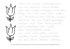 Tulpe-Abschreibtexte-nachspuren-VA 4.pdf